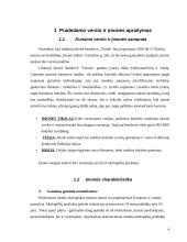 Įmonių organizavimas: tyrelių gamyba UAB "Tyrelė" 4 puslapis