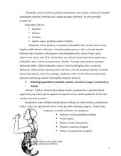 Įmonių organizavimas: tyrelių gamyba UAB "Tyrelė" 6 puslapis
