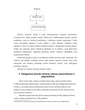 Įmonių organizavimas: tyrelių gamyba UAB "Tyrelė" 8 puslapis