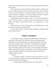 Įmonių organizavimas: tyrelių gamyba UAB "Tyrelė" 10 puslapis