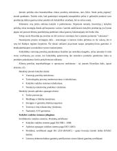 Įmonių palyginimas kokybės vadybos aspektais: AB "Lietkabelis" ir "Procter&Gamble" 3 puslapis