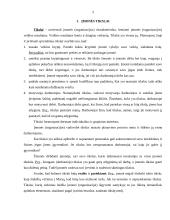 Įmonių tikslų ir uždavinių analizė 3 puslapis