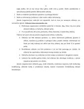 Įmonių tikslų ir uždavinių analizė 6 puslapis