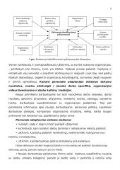 Individo vaidmuo ir problemos kolektyve. Darbuotojų motyvavimas 11 puslapis