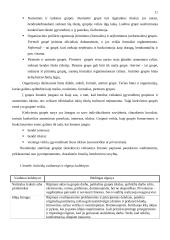 Individo vaidmuo ir problemos kolektyve. Darbuotojų motyvavimas 13 puslapis