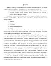 Individo vaidmuo ir problemos kolektyve. Darbuotojų motyvavimas 3 puslapis
