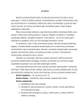 Individualios įmonės socialinė atsakomybė 2 puslapis