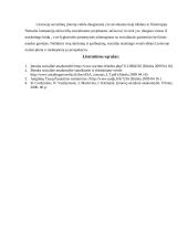 Individualios įmonės socialinė atsakomybė 11 puslapis