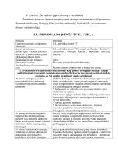 Individualios įmonės socialinė atsakomybė 3 puslapis