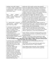 Individualios įmonės socialinė atsakomybė 6 puslapis