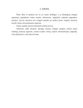 Individualios mitybos proceso įvertinimas 2 puslapis