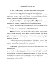 Individualios mitybos proceso įvertinimas 3 puslapis