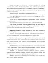 Individualios mitybos proceso įvertinimas 4 puslapis