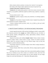 Individualios mitybos proceso įvertinimas 5 puslapis