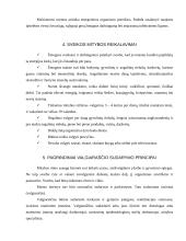 Individualios mitybos proceso įvertinimas 6 puslapis