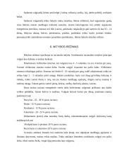 Individualios mitybos proceso įvertinimas 7 puslapis