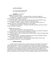 Individualios planavimo galimybės 2 puslapis