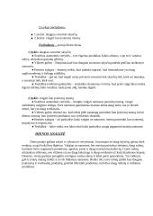 Individualios planavimo galimybės 3 puslapis