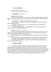 Individualios planavimo galimybės 4 puslapis