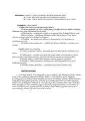 Individualios planavimo galimybės 5 puslapis