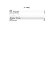 Individualios planavimo galimybės 10 puslapis