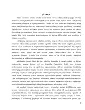 Individualių įmonių steigimas ir veikla Lietuvoje 2 puslapis