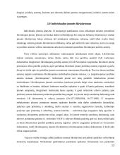 Individualių įmonių steigimas ir veikla Lietuvoje 13 puslapis