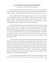 Individualių įmonių steigimas ir veikla Lietuvoje 16 puslapis
