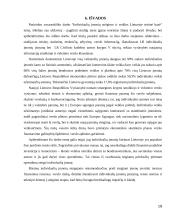 Individualių įmonių steigimas ir veikla Lietuvoje 19 puslapis