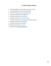 Individualių įmonių steigimas ir veikla Lietuvoje 20 puslapis