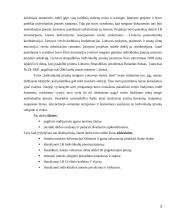 Individualių įmonių steigimas ir veikla Lietuvoje 3 puslapis
