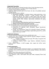 Individualus darbas su vaikais, turinčiais problemų ir jų šeimomis 11 puslapis