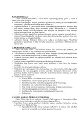 Individualus darbas su vaikais, turinčiais problemų ir jų šeimomis 12 puslapis