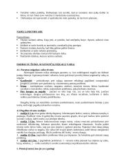 Individualus darbas su vaikais, turinčiais problemų ir jų šeimomis 15 puslapis