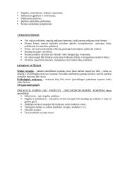 Individualus darbas su vaikais, turinčiais problemų ir jų šeimomis 17 puslapis