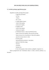 Individualus darbas su vaikais, turinčiais problemų ir jų šeimomis 7 puslapis