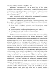 Informacijos klasifikatorių rengimas kompiuterizuojant ilgalaikio turto apskaitą 8 puslapis