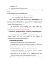 Informacijos rinkimo metodai atliekant sociologinius tyrimus 7 puslapis