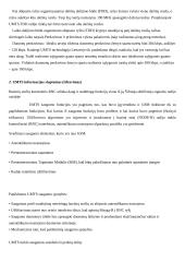 Informacijos slaptumas (šifravimas) UMTS tinkle 2 puslapis