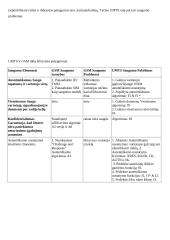 Informacijos slaptumas (šifravimas) UMTS tinkle 5 puslapis