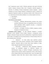 Informacinės technologijos bei informacinė visuomenė 4 puslapis