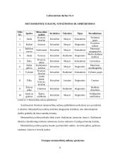 Mineralų fizinės savybės 8 puslapis