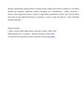 Įvardžiuotinių ir paprastųjų formų vartojimas 5 puslapis