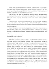 Kaip apsaugoti vaikus 2 puslapis