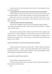 Kaip apsaugoti vaikus 5 puslapis