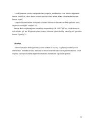 Kaitrai atsparių betonų užpildai 12 puslapis