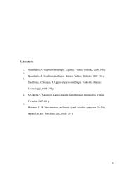 Kaitrai atsparių betonų užpildai 13 puslapis