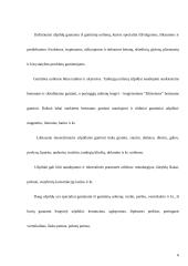 Kaitrai atsparių betonų užpildai 6 puslapis