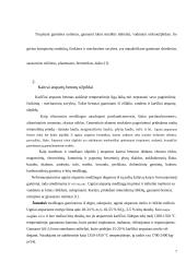 Kaitrai atsparių betonų užpildai 7 puslapis