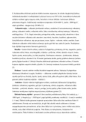 Kaitrai atsparių betonų užpildai 10 puslapis